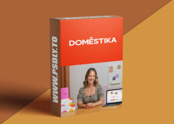 Domestika - Brand Identity Design: Expressing Visual Meaning