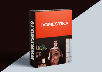 Domestika - Contemporary Hyperrealistic Portraiture