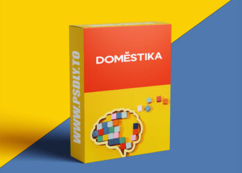 Domestika - Guided Project: Transform Creative Ideas into Meaningful Projects