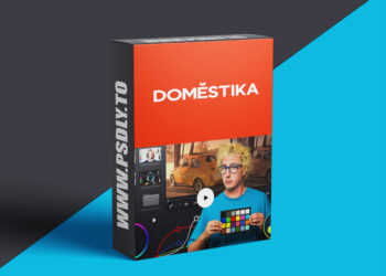 Domestika - Introduction to DaVinci Resolve for Color Correction
