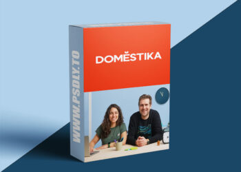Domestika - Teamwork and Collaboration Design