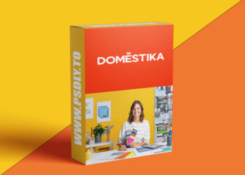 Domestika - Visual Identity for Creatives and Brands