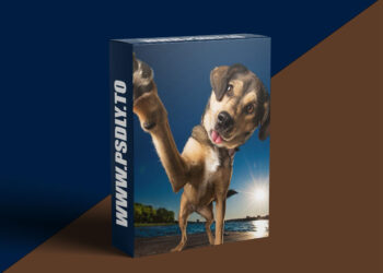 KelbyOne - The Inspirational Interview with Professional Dog Photographer Kaylee Greerv