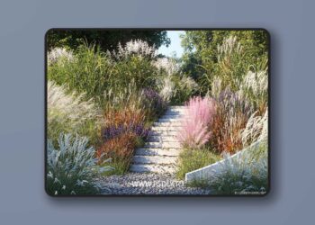 Maxtree - Plant Models Vol 9 - Blender