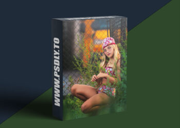 Meg Bitton - Last Days of Summer