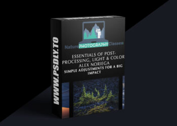 Naturephotographyclasses - Alex Noriega – Simple Adjustments for a Big Impact