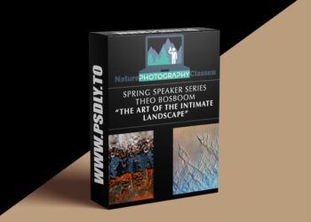 Naturephotographyclasses - Theo Bosboom - The Art of Intimate Landscapes