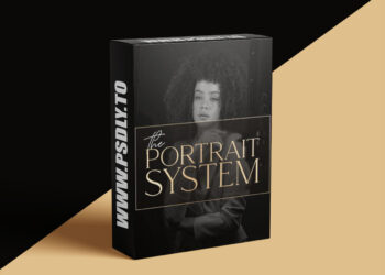 Theportraitsystem - Creating Efficient Facebook Marketing Campaigns — Ashleigh Taylor Henning