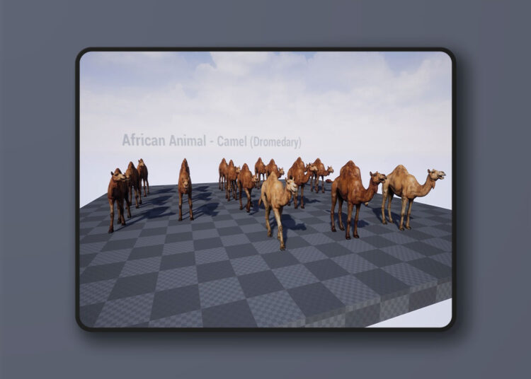 African Animal - Camel (Dromedary) (4.27+) 1 African Animal - Camel (Dromedary) (4.27+)