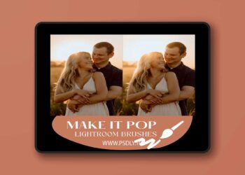 Cassidy Lynne - Make It Pop Lightroom Brushes