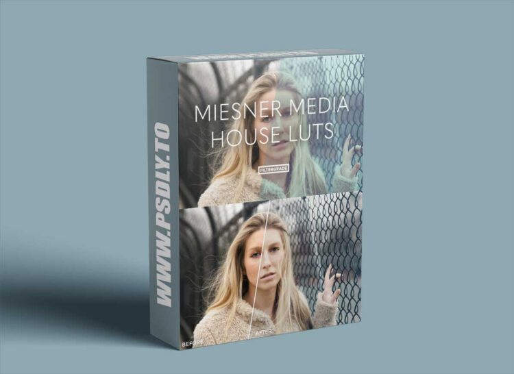 Filtergrade - Meisner Media House Luts 1 Filtergrade - Meisner Media House Luts