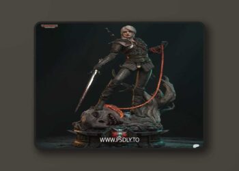 Tanuki Figures – CIRI – The Witcher 4 – 3D Print Model STL