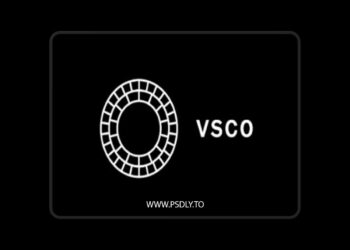 VSCO CAM - FILM X - ILFORD