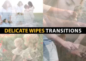 Videohive - Delicate Wipes Transitions | After Effects - 58562167