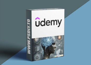 AI Risk Management for Professionals and Auditors