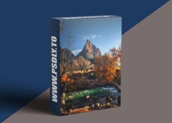 Ben Strauss - Framing the Watchman