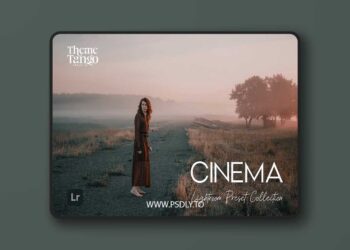 CreativeMarket - 9 Cinematic Lightroom Presets 291169651