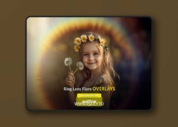 Creativemarket - Ring lens flare transparent PNG photo overlays