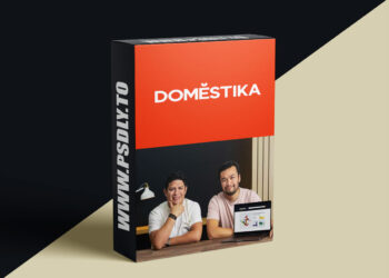 Domestika - Sales Techniques for Amazon