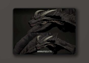 Dragon 3D Model