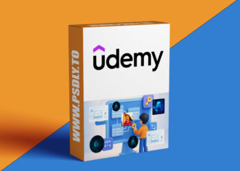 From Zero to Database Designer – Learn the Basics Fast