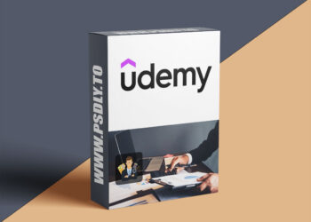 Master the Internal Audit for Startups and SMEs for Success