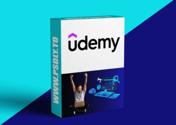 Next-Gen Digital Assets