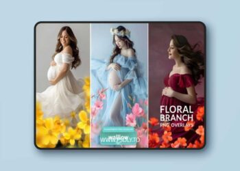 Spring Floral Branches Transparent PNG Overlays