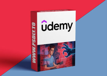 The Complete Beginner's Guide to OPNsense