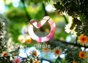 Videohive - Summer Tries Logo 3 - 59053069