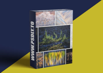 Alex Noriega Photography - Simplify Tutorial