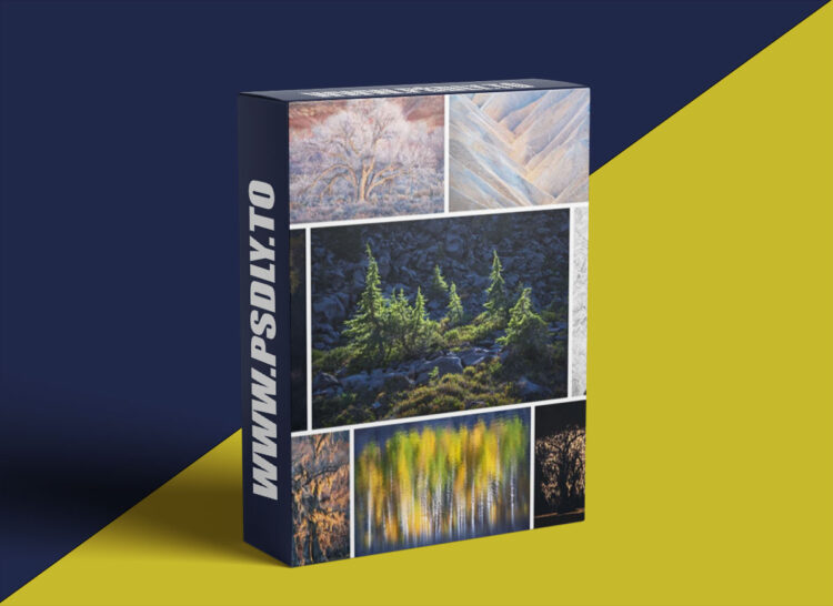 Alex Noriega Photography - Simplify Tutorial 1 Alex Noriega Photography - Simplify Tutorial