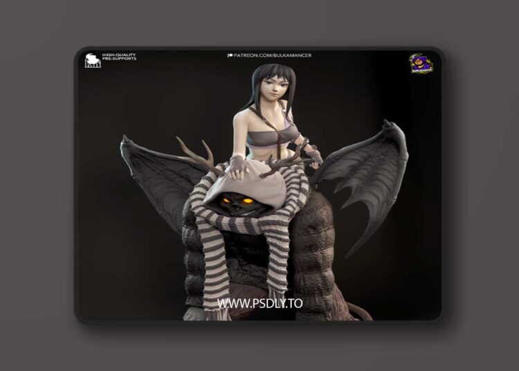 Bulkamancer – Haru (Dorohedoro) – 3D Print Model 1 Bulkamancer – Haru (Dorohedoro) – 3D Print Model