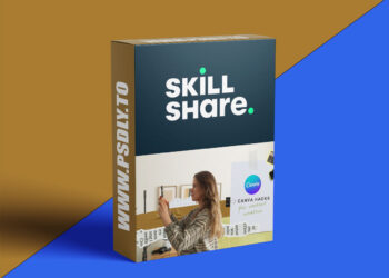 Canva Hacks for Content Creators – Level Up Your Instagram, YouTube or Personal Brand Designs