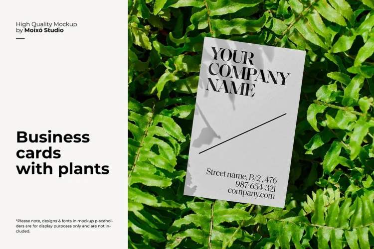 CreativeMarket - Business Card Mockup With Plants Set 92554088 1 CreativeMarket - Business Card Mockup With Plants Set 92554088