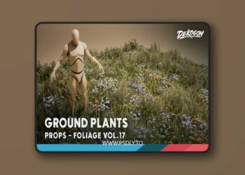 Foliage VOL.17 - Ground Plants (Low Poly) [5.1 – 5.6]