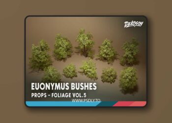 Foliage VOL.5 - Euonymus Bushes (Nanite and Low Poly) (5.5)