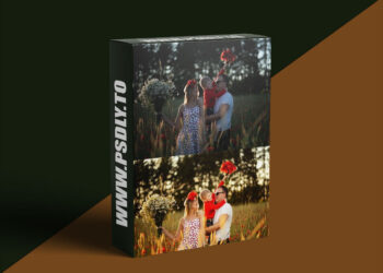 Konstantin Tishchenko - Fast and High-Quality Color Correction