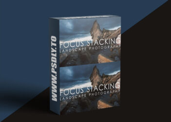 Nature Photographers Network - Mark Seaver - Focus Stacking