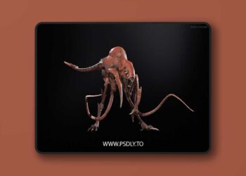 Raptor (4.27 and 5.0 – 5.6)