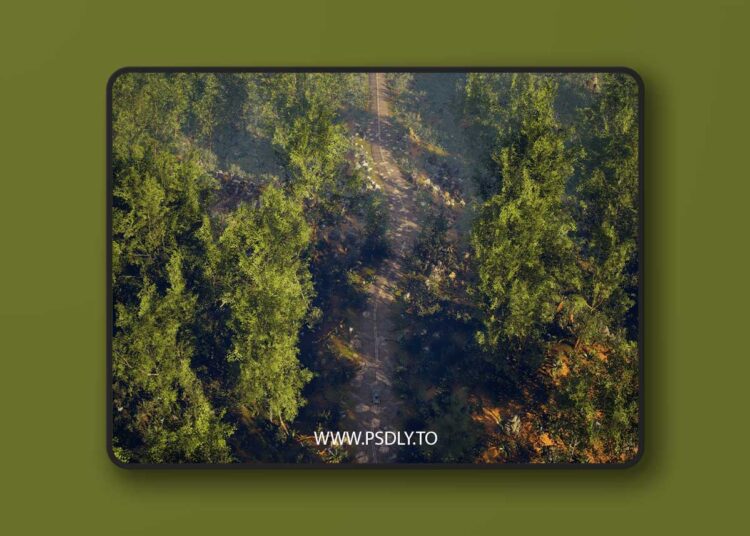 Biome Generator PCG (5.3 – 5.6) for Unreal Engine 1 Biome Generator PCG (5.3 – 5.6)