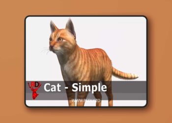 Cat - Simple v3.0
