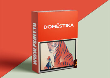 Domestika - Dynamic Vector Illustration: Keys to Color and Composition