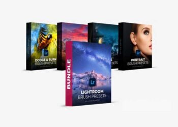 Kelvin Pimont - Lightroom Brush Presets