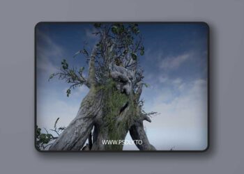 Oak Tree Ent (4.15 – 4.27 and 5.0 – 5.6)