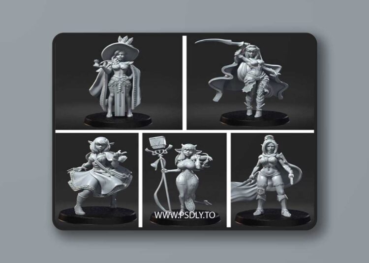 RN Estudio – RPG party Pack – 3D Print Model STL 1 RN Estudio – RPG party Pack – 3D Print Model STL