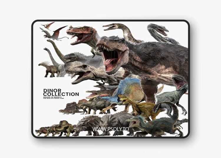 Rigged 3D Animal Models Collection 1 Rigged 3D Animal Models Collection