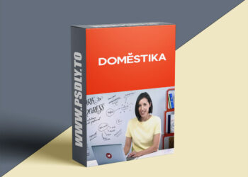 Domestika - Freelance: Keys and Tools to Find Success as Your Own Boss