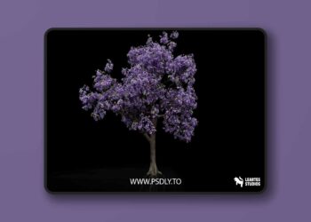 Jacaranda Tree 01 (Jacaranda Tree Plant Foliage Nature Forest Trees Prop 3D) [5.0+]
