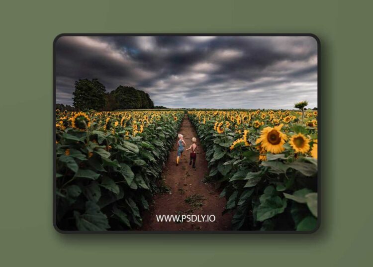 Meridian Presets - Meg Loeks - Solstice 1 Meridian Presets Meg Loeks Solstice